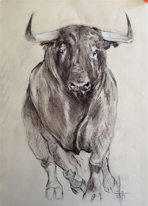 dibujos de toros